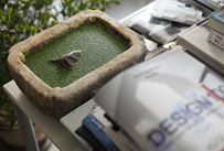 懒哲学教育名言精选 懒哲学教育名言精选